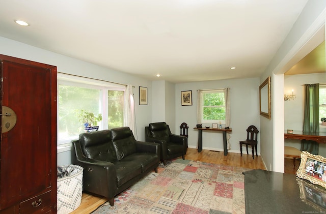 113 Codfish Hill Rd, Bethel, CT 06801 - living area with wood finished floors and recessed lighting