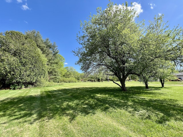 343 Lebanon Ave, Lebanon, CT 06249 - view of green lawn
