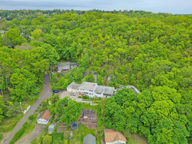 5 Yochers Ln, Derby, CT 06418 - view of property location with a forest