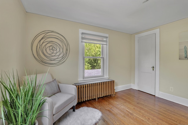 55 Dividend Rd, Rocky Hill, CT 06067 - living area with radiator, wood finished floors, and baseboards