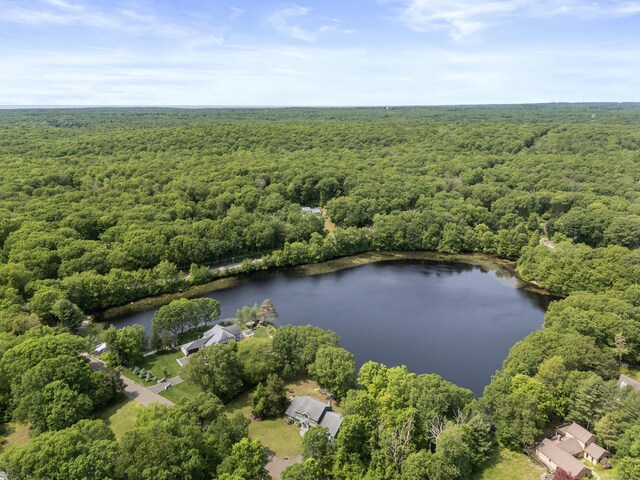 79 Dream Lake Dr, Madison, CT 06443 - photo 29