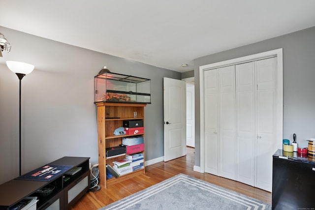 home office featuring wood finished floors