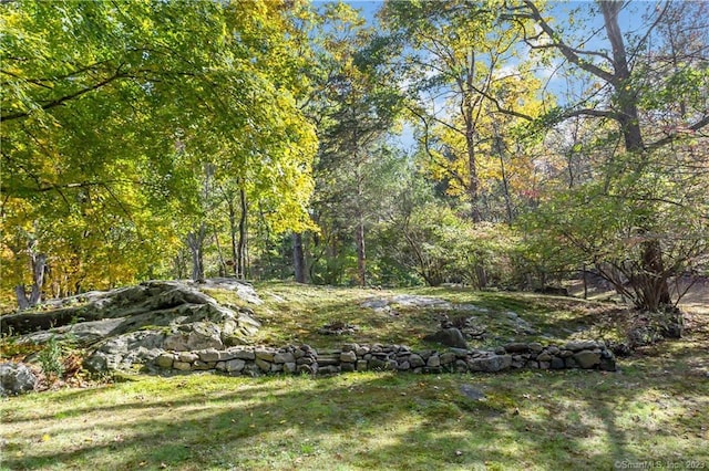 235 Whipstick Rd, Wilton, CT 06897 - view of green lawn