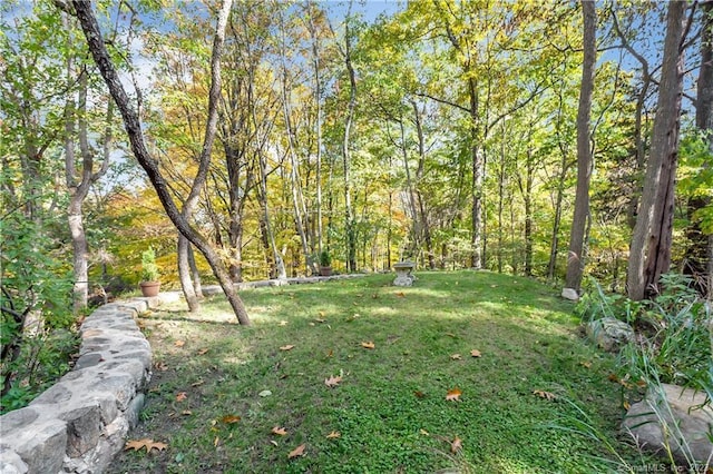 235 Whipstick Rd, Wilton, CT 06897 - view of green lawn