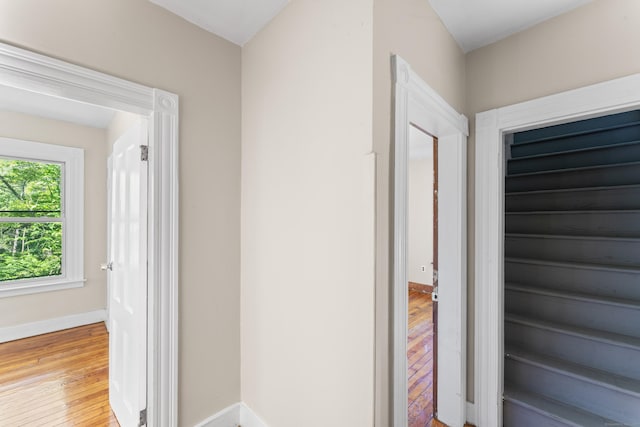 38 Ford St, New Haven, CT 06511 - hallway with light wood-style floors and baseboards