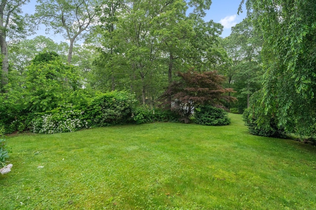 57 Elm Ridge Rd, Stonington, CT 06379 - view of green lawn