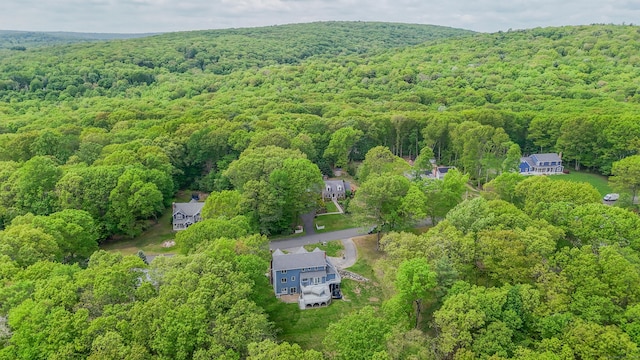 60 Wildcat Rd, Burlington, CT 06013 - photo 4
