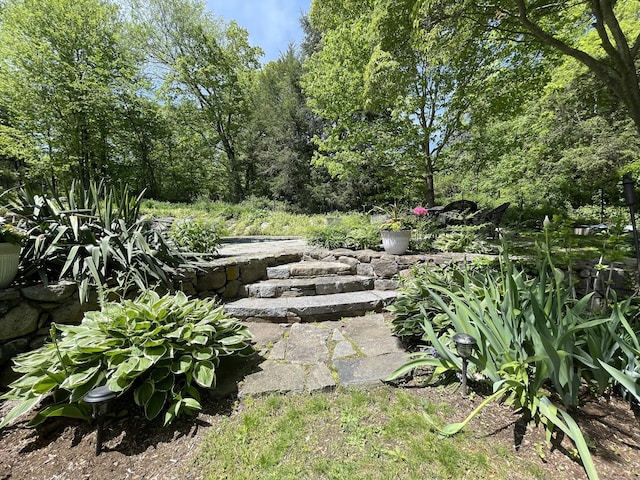 114 Ruscoe Rd, Wilton, CT 06897 - view of yard