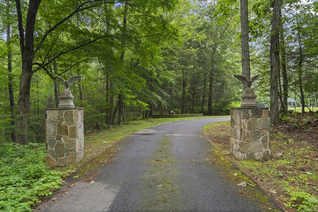 59 Campville Hill Rd, Harwinton, CT 06791 - photo 30