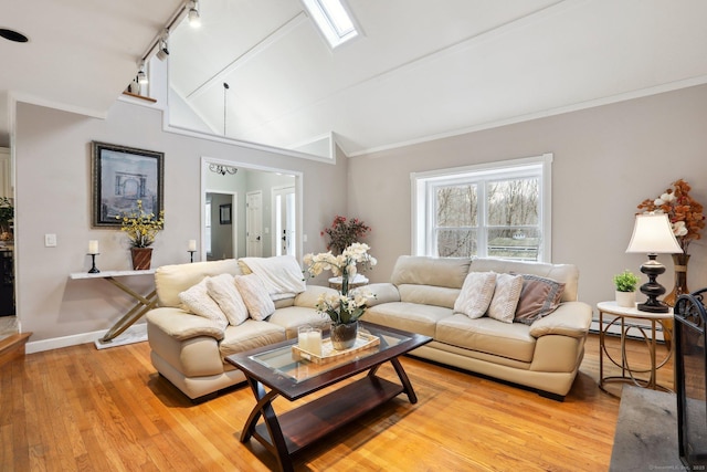 8 Grants Ln, New Milford, CT 06776 - living area featuring vaulted ceiling, a baseboard heating unit, light wood finished floors, track lighting, and baseboards