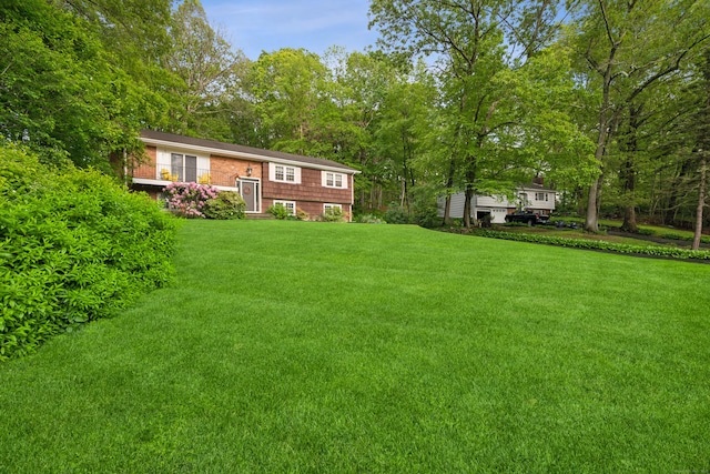 14 Button Rd, Shelton, CT 06484 - view of green lawn