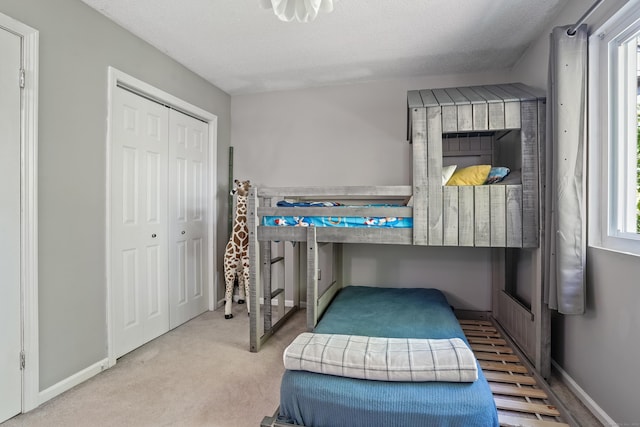 273 Derby Ave Unit 804, Derby, CT 06418 - bedroom with baseboards, a closet, and carpet