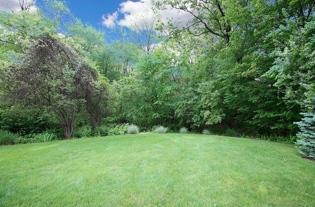 229 Long Hill Cross Rd, Shelton, CT 06484 - view of green lawn with a view of trees