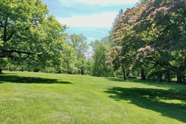 1191 Oenoke Rdg, New Canaan, CT 06840 - view of green lawn