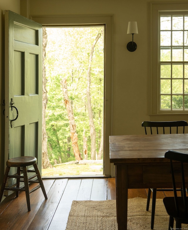 entryway with hardwood / wood-style floors and plenty of natural light