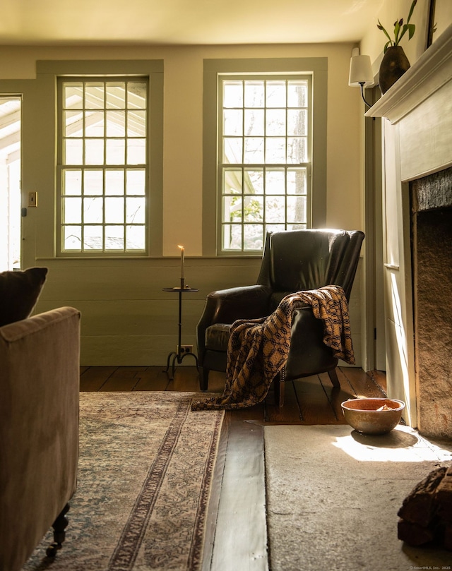 living area with wood finished floors and a premium fireplace