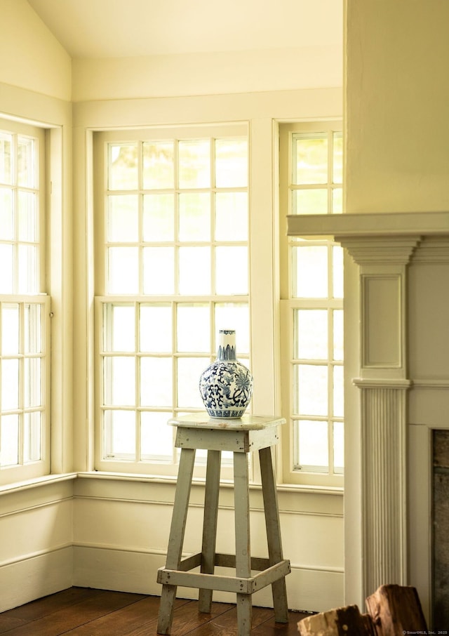 interior space with plenty of natural light and dark wood-style floors