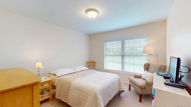 94 E Ridge Rd, Middletown, CT 06457 - bedroom with carpet and baseboards