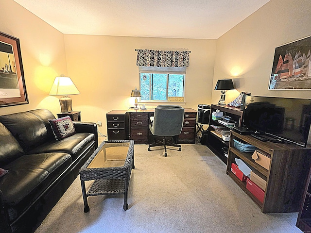 470 Heritage Vlg Unit A, Southbury, CT 06488 - home office featuring carpet flooring