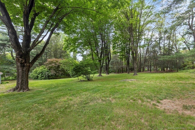 120 Peters Ln, Stratford, CT 06614 - view of grassy yard