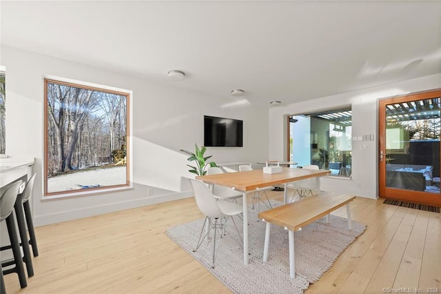 dining room with hardwood / wood-style floors and baseboards