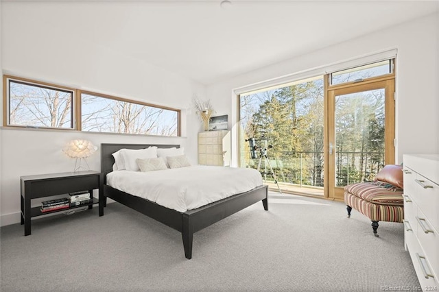 bedroom featuring carpet and access to exterior