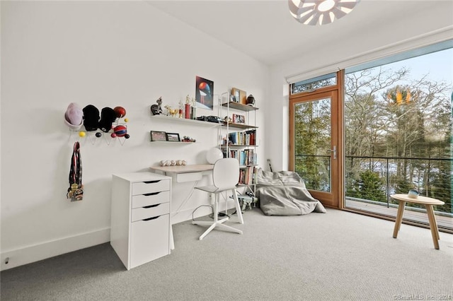 office with carpet floors and baseboards