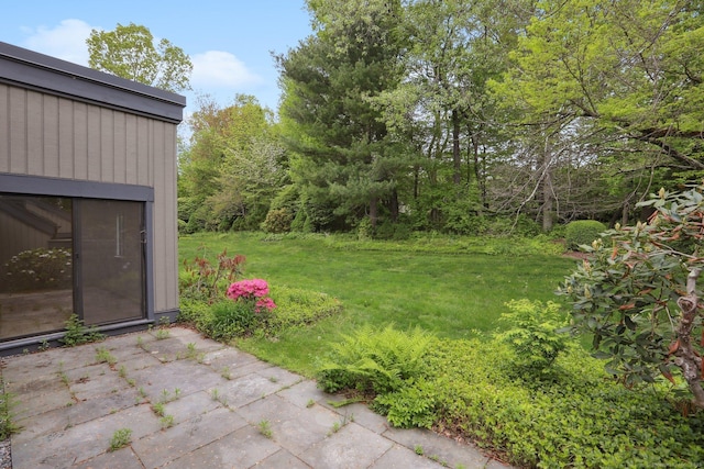 787 Heritage Vlg Unit A, Southbury, CT 06488 - view of grassy yard