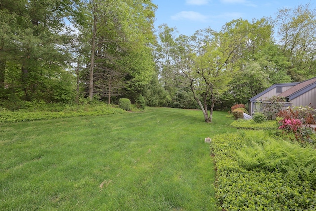 787 Heritage Vlg Unit A, Southbury, CT 06488 - view of green lawn