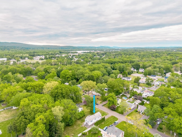 40 Woodland Ave, North Haven, CT 06473 - bird's eye view of a forest