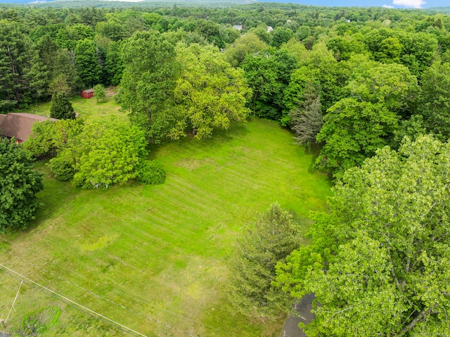 110 W Granby Rd, Granby, CT 06035 - photo 38