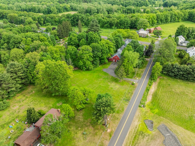 110 W Granby Rd, Granby, CT 06035 - photo 40
