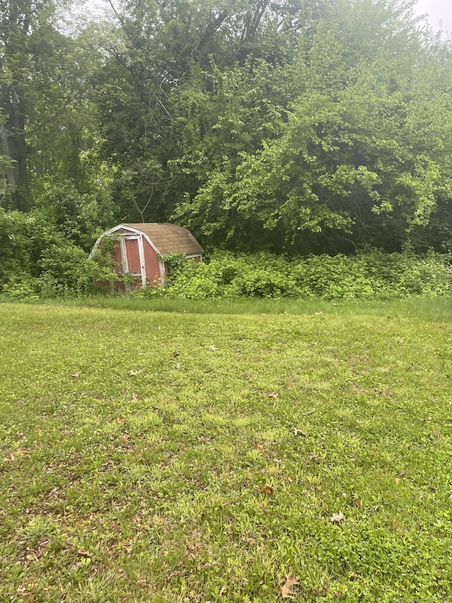 view of yard with a storage shed, an outbuilding, and a view of trees