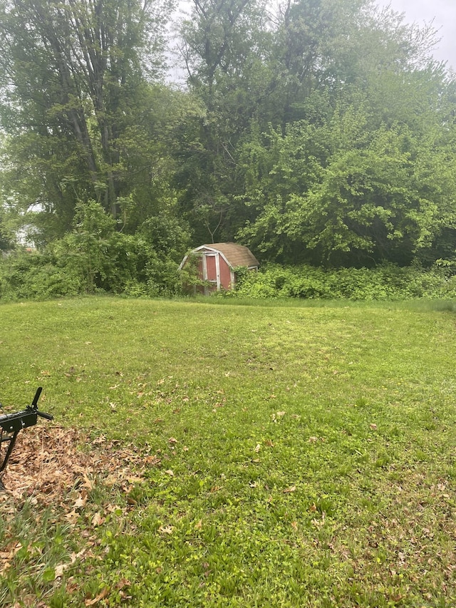view of grassy yard with a shed, an outdoor structure, and a forest view