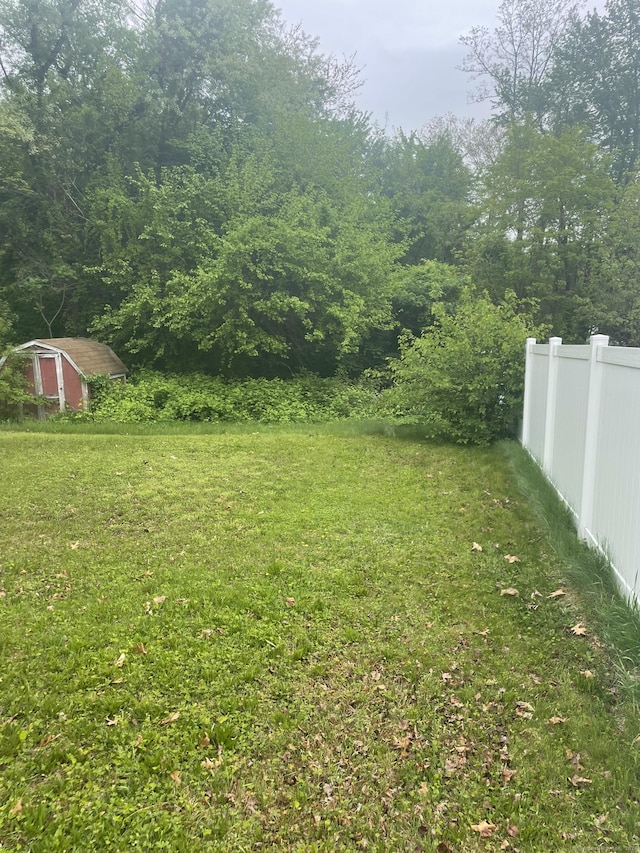 view of yard featuring a storage shed and an outdoor structure