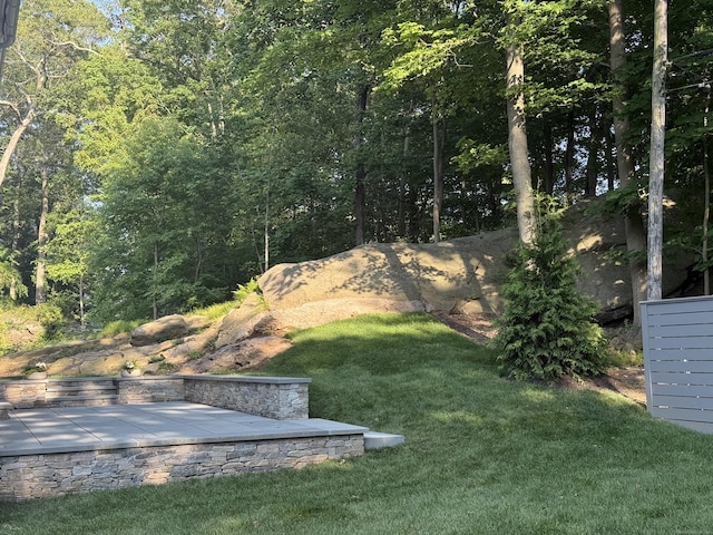 171 Compo Rd S, Westport, CT 06880 - view of grassy yard with a view of trees