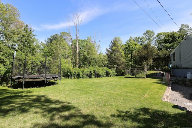 47 Old S Salem Road, Ridgefield, CT 06877 - view of grassy yard with a trampoline
