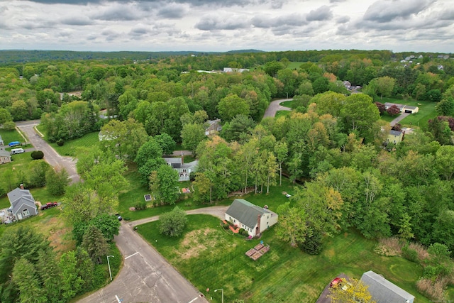 40 Fountainhead Rd, Plymouth, CT 06786 - aerial view of property and surrounding area featuring a heavily wooded area