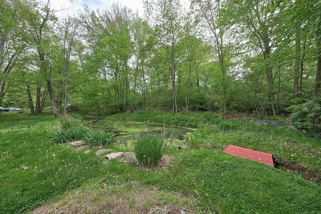 40 Fountainhead Rd, Plymouth, CT 06786 - view of yard