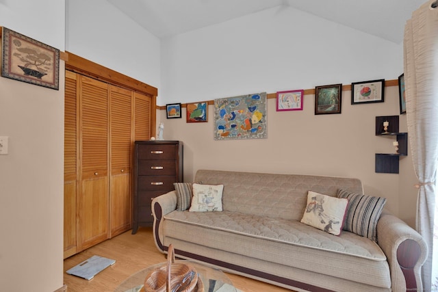 41 Farm Dr Unit 41, Farmington, CT 06032 - living room featuring light wood finished floors and lofted ceiling