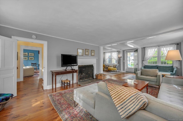 living room featuring wood finished floors, baseboards, and a fireplace with flush hearth