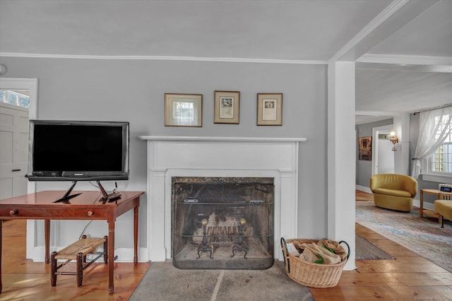living area featuring wood finished floors, crown molding, and a fireplace