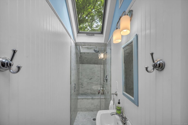 bathroom with a shower stall and a sink