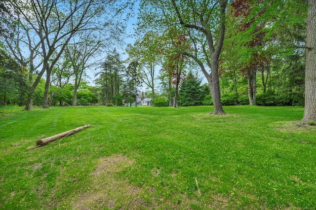 view of grassy yard