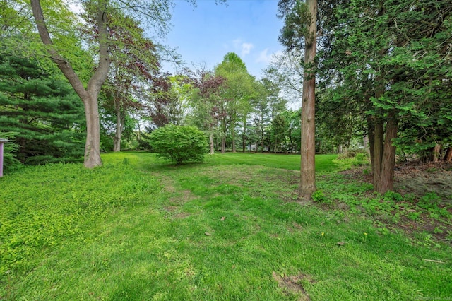 view of grassy yard
