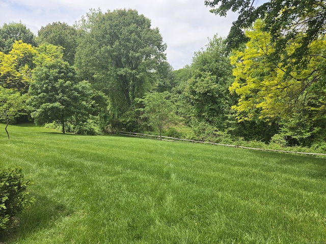 166 Kennedy Rd, Manchester, CT 06042 - view of yard featuring a wooded view