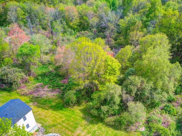 1026 Rte 171, Woodstock, CT 06281 - aerial view of property and surrounding area featuring a heavily wooded area