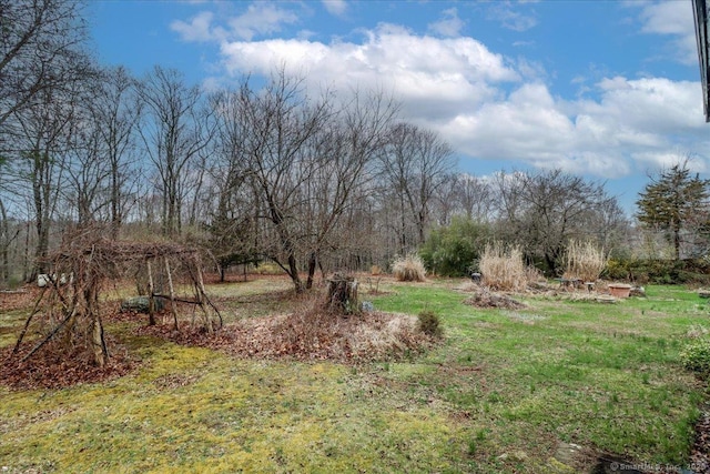 31 Branch Hill Rd, Preston, CT 06365 - view of yard