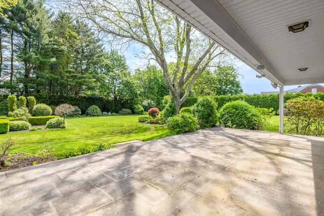 116 Thornbush Rd, Wethersfield, CT 06109 - view of patio with view of scattered trees
