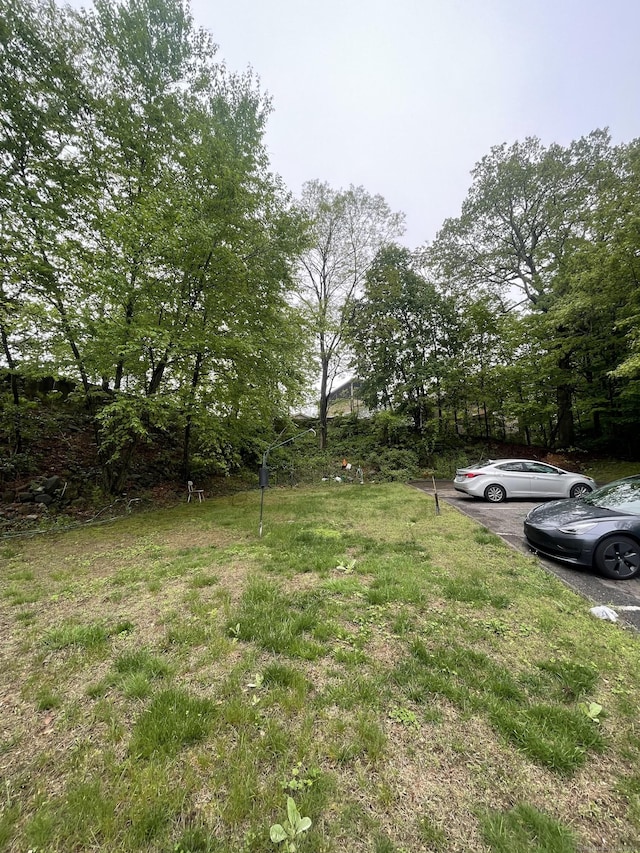 1315 Hamilton Ave, Waterbury, CT 06706 - view of yard
